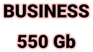 BUSINESS 550 Gb
