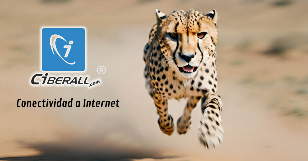 Órdena Internet CiBERALL