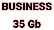 BUSINESS 35 Gb