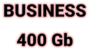 BUSINESS 400 Gb