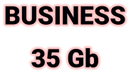 BUSINESS 35 Gb