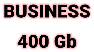 BUSINESS 400 Gb