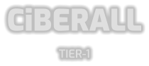 CiBERALL TIER-1