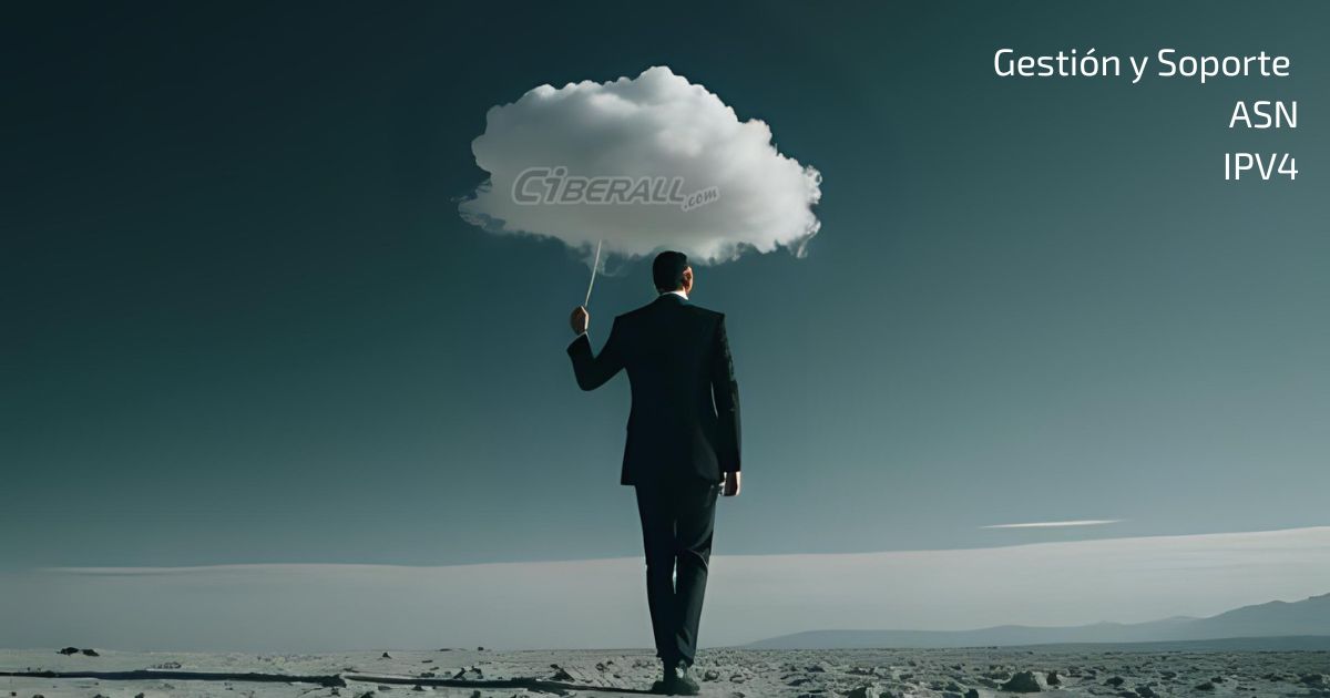 [Imagen explicativa de qué es un ASN]